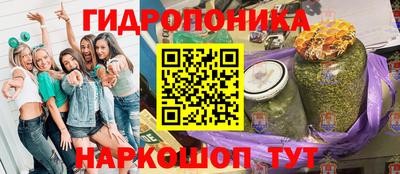 гидра Новозыбков