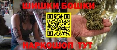 гидра Новозыбков