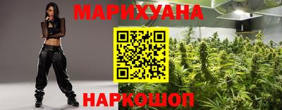 гидра Новозыбков