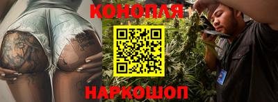 гидра Новозыбков