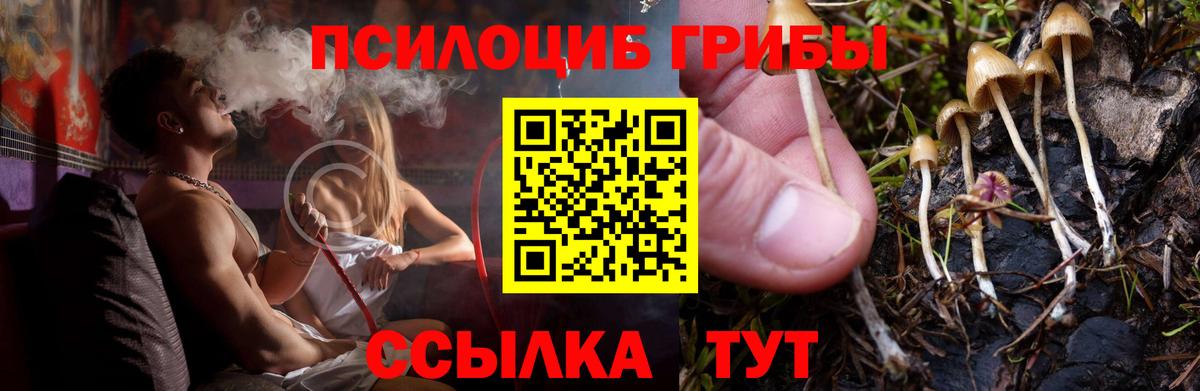 Галлюциногенные грибы GOLDEN TEACHER Саров