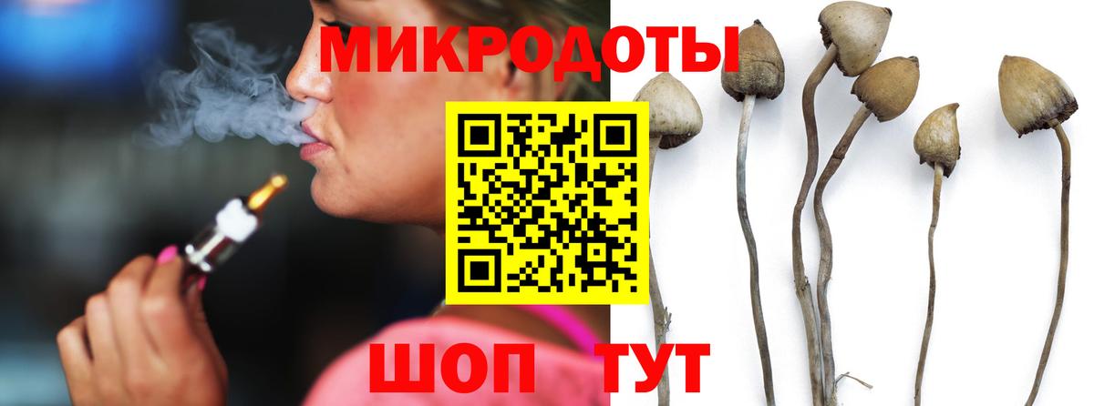 Псилоцибиновые грибы Magic Shrooms  Вход с VPN  где найти наркотики  Саров 